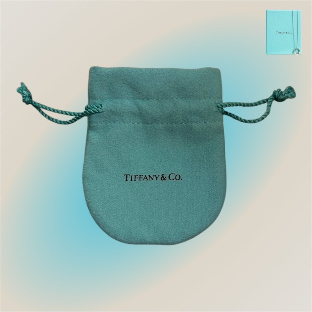 🛍️SALE🛍️ Tiffany & Co. Turquoise Jewelry Pouch
